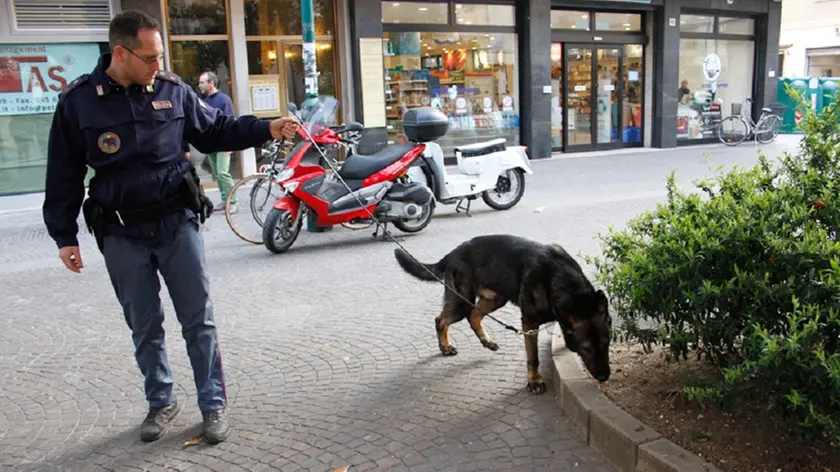 Unità cinofila della polizia controlla la zona di via Carducci, Mestre.