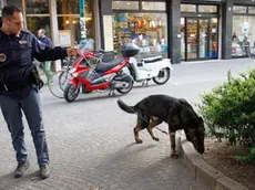 Unità cinofila della polizia controlla la zona di via Carducci, Mestre.