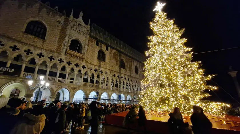 Lo splendido albero in piazza San Marco