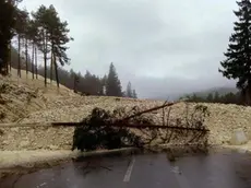 Una nuova frana provocata dalle intense piogge di queste ore ha bloccato la statale 51 di Alemagna in località Acquabona, alle porte di Cortina. Il fronte di terra e sassi caduto, secondo le segnalazioni dei vigili del fuoco, è di circa 30 metri..ANSA/VIGILI DEL FUOCO ANSA PROVIDES ACCESS TO THIS HANDOUT PHOTO TO BE USED SOLELY TO ILLUSTRATE NEWS REPORTING OR COMMENTARY ON THE FACTS OR EVENTS DEPICTED IN THIS IMAGE; NO ARCHIVING; NO LICENSING