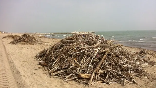 Detriti portati dal mare e accumulati sulla spiaggia di Sottomarina