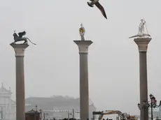 Interpress/M.Tagliapietra Venezia 08.12.2016.- Colonne Marco e Todaro