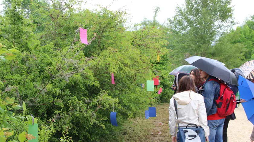 Inaugurazione del Bosco Franca in onore di Franca Jarach, desaparecida durante la dittatura in Argentina, in via Forte Cosenz a Favaro Veneto - nella foto bigliettini di memoria scritti dagli studenti