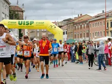 Agenzia Candussi, giornalista Neviello. Maratonina di Mestre. Nella foto: partenza della 21km