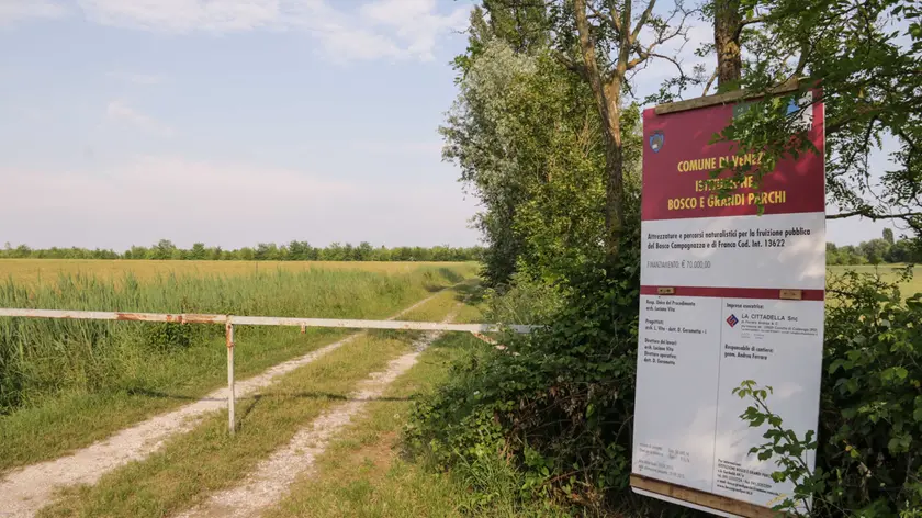 GIORNALISTA: Baschieri.AGENZIA FOTO: Candussi.LUOGO: Dese, via Ca' Colombara.DESCRIZIONE: nuovi ettari di parco che verranno aggiunti al bosco di Mestre