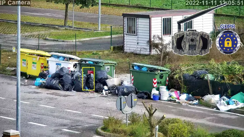 L'immagine registrata da una "fototrappola"