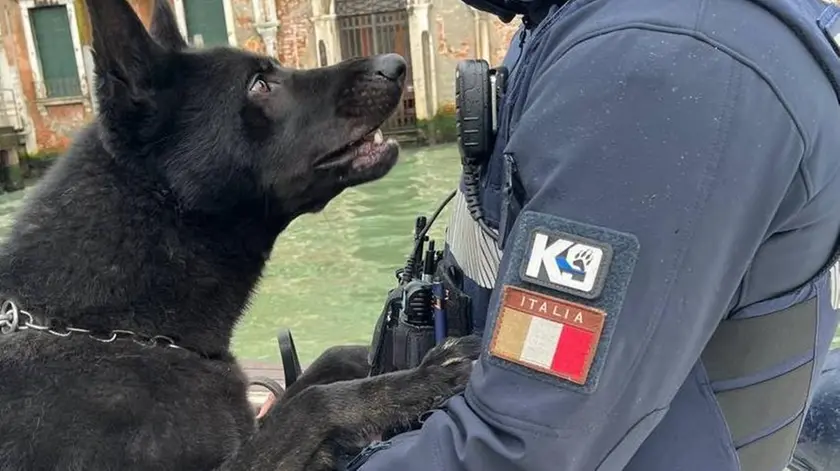 L'agente eroe Zucchetta con il fedele Murph