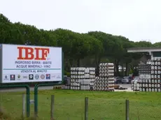 VATRELLA - DINO TOMMASELLA - JESOLO LIDO - DITTA IBIF ingrosso bibite