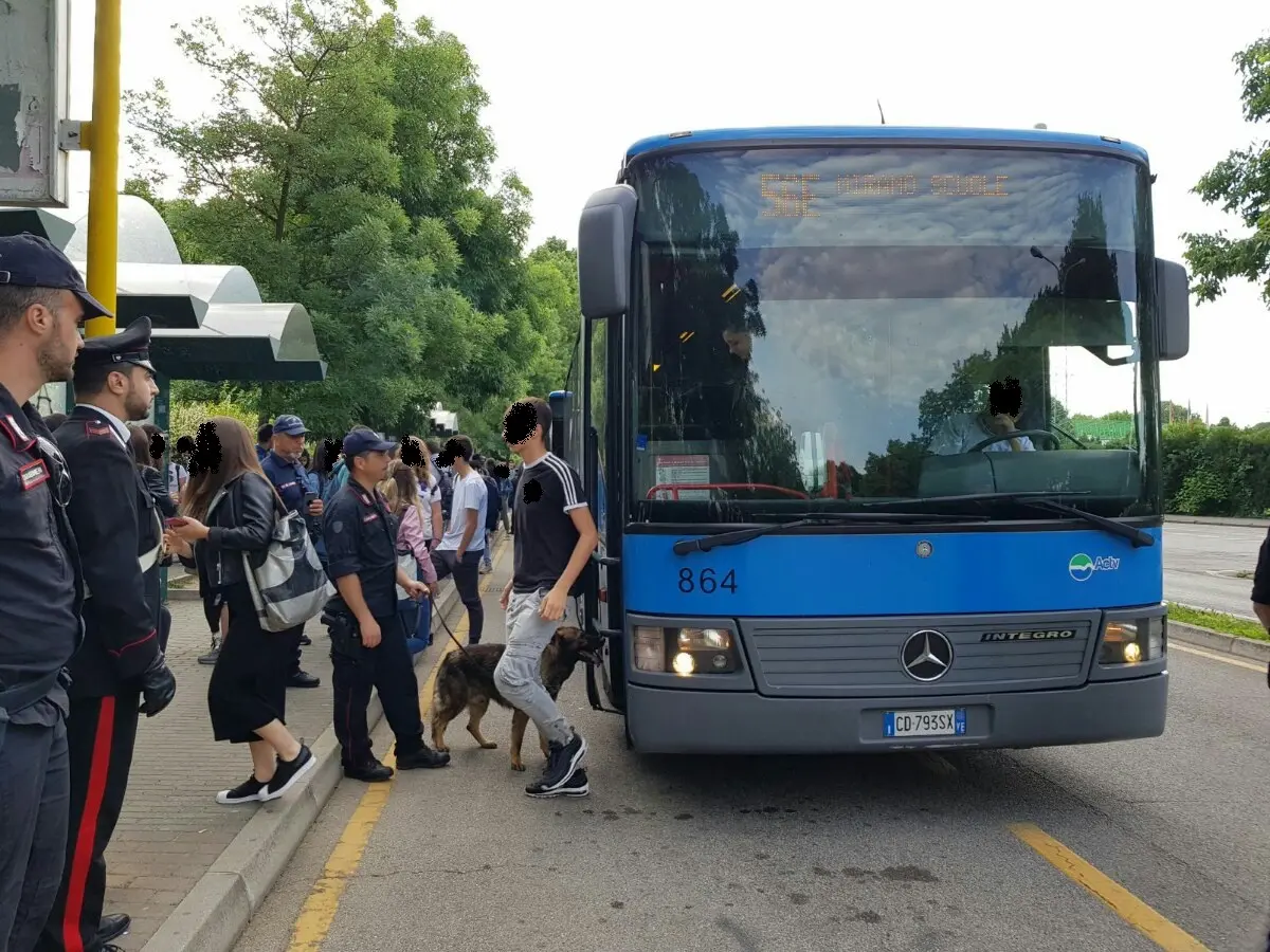 Controlli con i cani antidroga all'arrivo degli studenti in bus, a Mirano