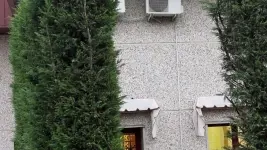 La «Layout Service» di Casier