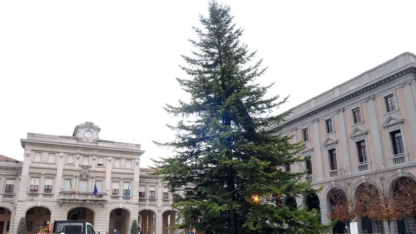 SAN DONA' DI P. - DINO TOMMASELLA - COLUCCI - POSIZIONAMENTO DEL GRANDE ALBERO DI NATALE IN PIAZZA INPIDENDENZA