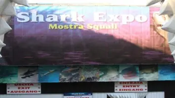 L'ingresso dello Shark Expo di Jesolo