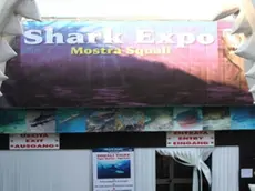 L'ingresso dello Shark Expo di Jesolo