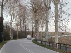 VATRELLA - DINO TOMMASELLA - NOVENTA DI PIAVE - IL TRATTO DI STRADA IN LOCALITA' ROMANZIOL DOVE SI è SENTITO MALE PEZZUTTO