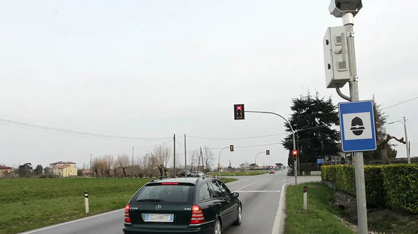 BELLUCO.INCROCIO DUE ALBERE PIAZZOLA SUL BRENTA