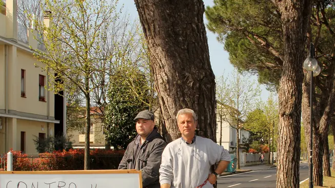 JESOLO - DINO TOMMASELLA - COLUCCI - PROTESTA E RACCOLTA FIRME CONTRO TAGLIO PINI MARINI VIA PINDEMONTE