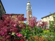 25 aprile 2004..Mirano (VE)...Fiori a Mirano...(c) Light Image Studio.