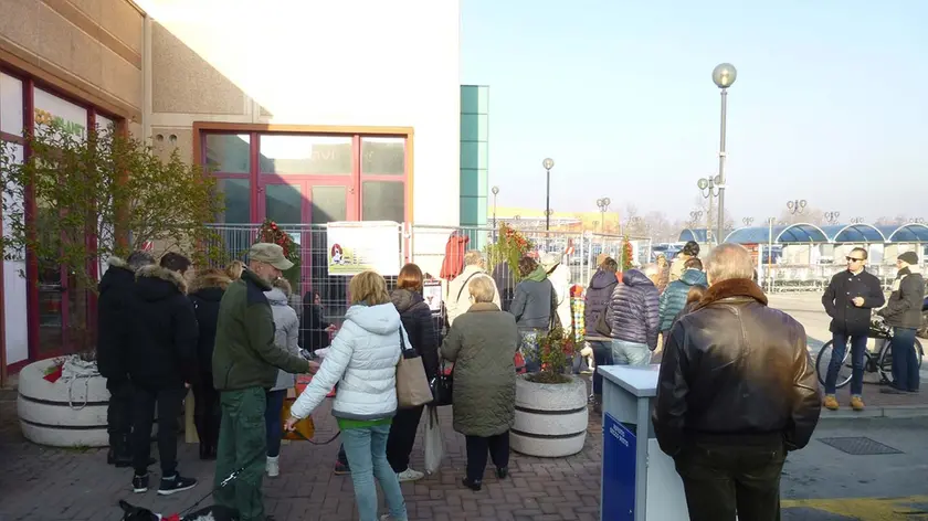 DE POLO - DINO TOMMASELLA - SAN DONA' DI PIAVE - INIZIATIVA ADOTTA UN CANE PRESSO IPERCOOP