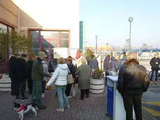 DE POLO - DINO TOMMASELLA - SAN DONA' DI PIAVE - INIZIATIVA ADOTTA UN CANE PRESSO IPERCOOP