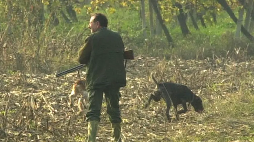 FG CACCIATORI NEI CAMPI - FOTO GAVAGNIN