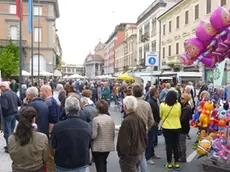 COLUCCI - DINO TOMMASELLA - SAN DONA' DI PIAVE - FESTA DEI FIORI