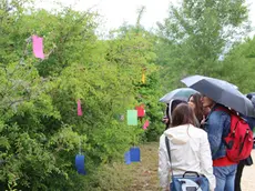 Inaugurazione del Bosco Franca in onore di Franca Jarach, desaparecida durante la dittatura in Argentina, in via Forte Cosenz a Favaro Veneto - nella foto bigliettini di memoria scritti dagli studenti