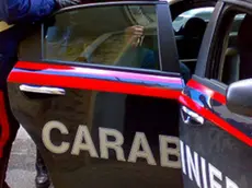 I carabinieri hanno denunciato il pirata della strada