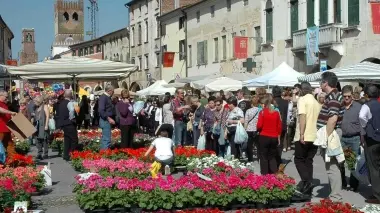 Circa 60 mila visitatori ieri per «Noale in Fiore»