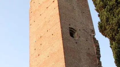 FURLAN NOALE: CIGNI ALLA ROCCA DEI TEMPESTA.