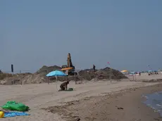 Ruspe tra i bagnanti a Isola Verde (Foto Porcile)