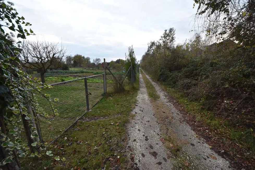 COLUCCI - DINO TOMMASELLA - CAORLE - INCHIESTA "TERME DI CAORLE" - L'AREA INTERESSATA AL PROGETTO TERME LUNGO LA VIA TARGHETE - LE CASE ABBANDONATE E GLI ATTUALI ORTI ESISTENTI -