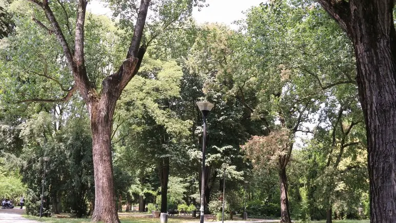 Foto Agenzia Candussi/ Scattolin/ Mestre, via Circonvallazione/ Veduta del parco e della villa Querini