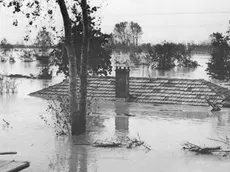 L'alluvione nel Veneto orientale