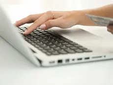 Woman using laptop computer to make an internet purchase, cropped