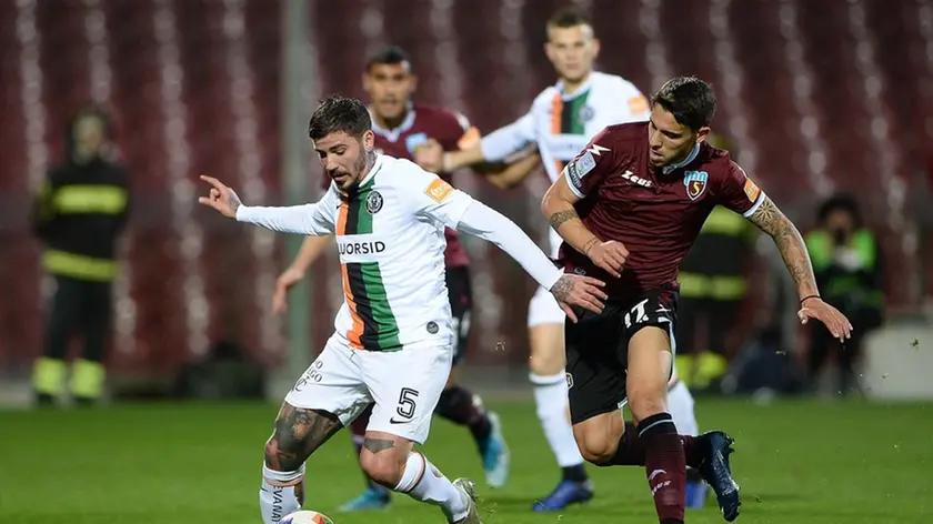 cruccu foto er salernitana venezia vacca