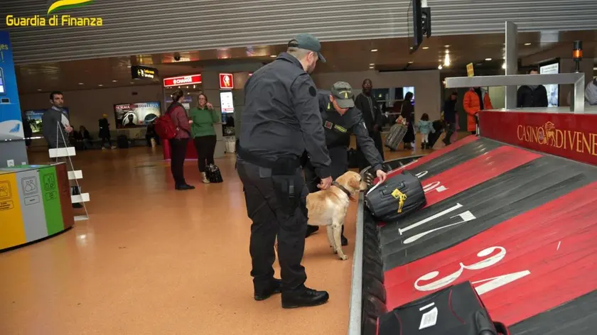 Controlli antidroga della Finanza all’aeroporto Marco Polo: maxi sequestro di cocaina in una valigia