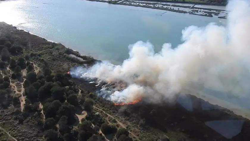 COLUCCI - DINO TOMMASELLA - ERACLEA - INCENDIO LAGUNA DEL MORT