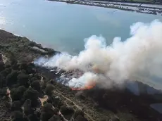 COLUCCI - DINO TOMMASELLA - ERACLEA - INCENDIO LAGUNA DEL MORT