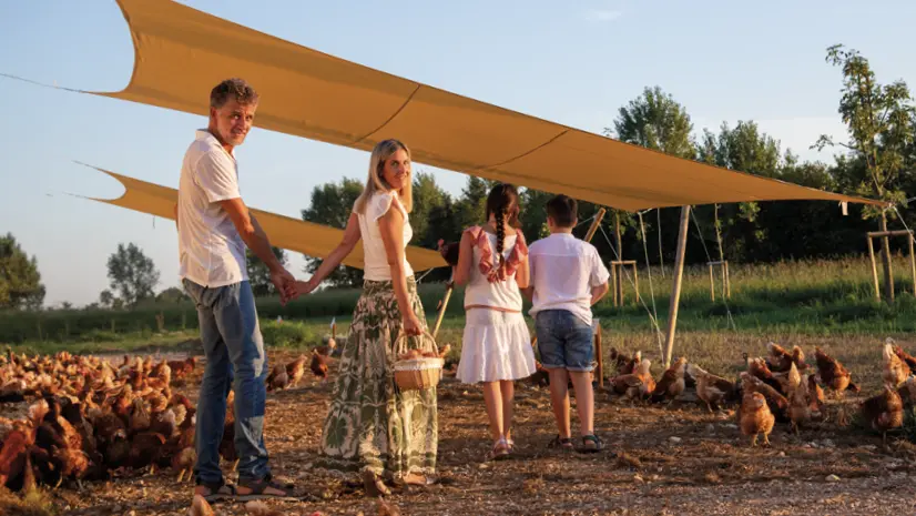 L'azienda agricola Il gallese a Scorzè