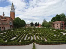 Venezia, 010-06-2011 - Labirinto Borges nell'isola di San Giorgio Maggiore alla Fondazione Cini.(c)Vision