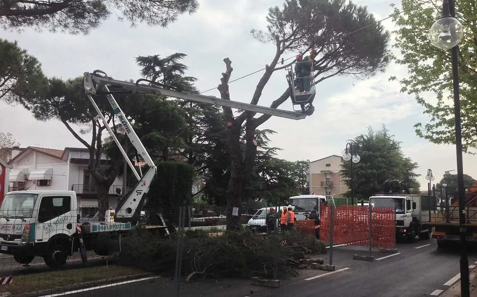 COLUCCI - DINO TOMMASELLA - JESOLO LIDO - TAGLIO ALBERI VIA PINDEMONTE