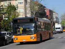 Caiaffa Interpress Venezia, 09.04.2011.- Lido di Venezia.- Nella foto Autobus ACTV in Gran Viale Lido di Venezia, bus - spiaggia ...