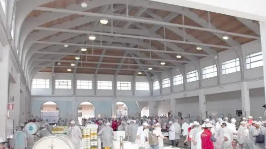 Il mercato del pesce all’ingrosso di Chioggia
