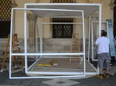 Interpress/M.Tagliapietra Venezia 17.06.2013.- Nuovo gabbiotto sotto palazzo Ducale accanto alla Porta della Carta.