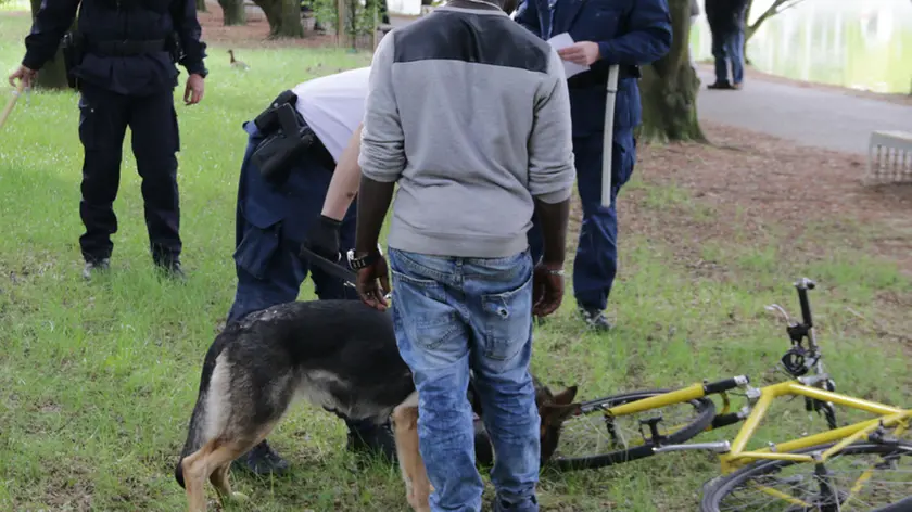 Foto Agenzia Candussi/ Chiarin/ Mestre, parco della Bissuola / Controlli della Polizia anti droga