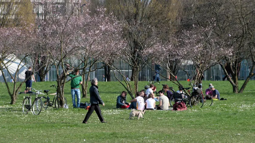 Mestre (VE) Parco della Bissuola. - 28/03/2010 © LIGHTIMAGE. Parco della Bissuola