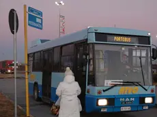 F.GAVAGNIN PORTOGRUARO BUS NAVETTA ..A DETTA DELL' AUTISTA GLI UNICI A TRARNE VANTAGGIO SONO QUELLI DELL'IPERMERCATO..LA SIGNORA IN BUS CON BORSA DELLA SPESA (CAREFOUR) E' COMODO PER CHI NON HA L'AUTO FOTO GAVAGNIN