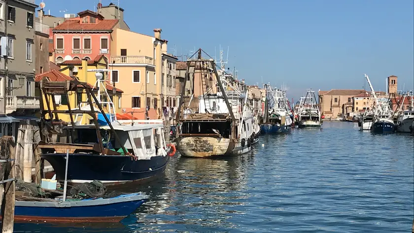 Pescherecci ormeggiati in riva San Domenico a Chioggia