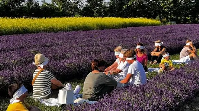 Un gruppo impegnato in una delle esperienze sensoriali proposte nel campo di lavanda dall’azienda Bio Maggi di Oriago