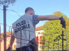 L'intervento della polizia locale